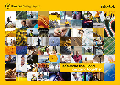 Strategic Report cover
